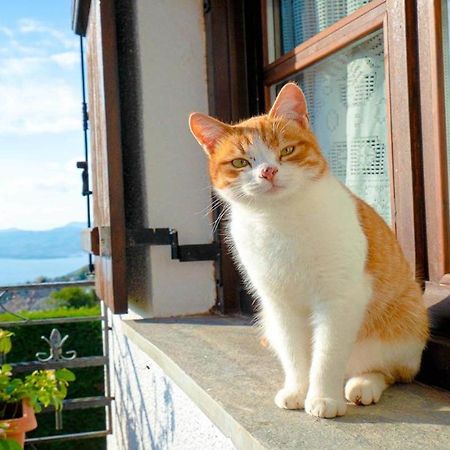 Ferienwohnung Chrissi Nefeli Agios Georgios Nileias Exterior foto