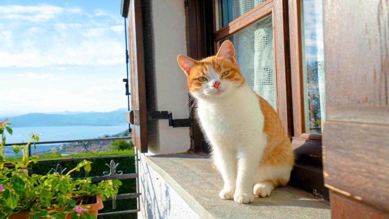 Ferienwohnung Chrissi Nefeli Agios Georgios Nileias Exterior foto
